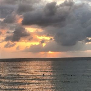 Meet your Posher, Randi